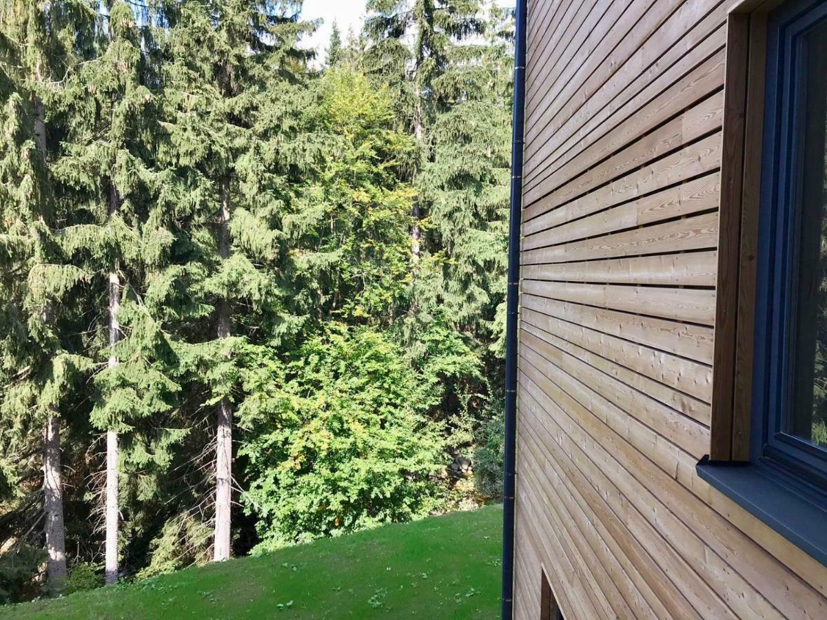 Utulny Apartman U Mumlavskych Vodopadu Harrachov Exterior photo